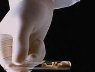 2026年在沧州不经过机构去海外做试管的攻略，试管自由行价格是多少？