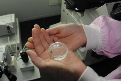 哈尔滨市试管婴儿医院哪家成功率高？哈尔滨市做试管婴儿费用多少钱？